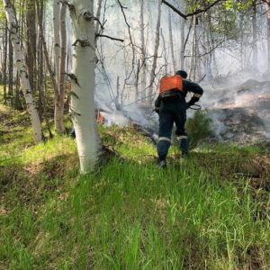 Проведение мероприятий по предупреждению лесных пожаров